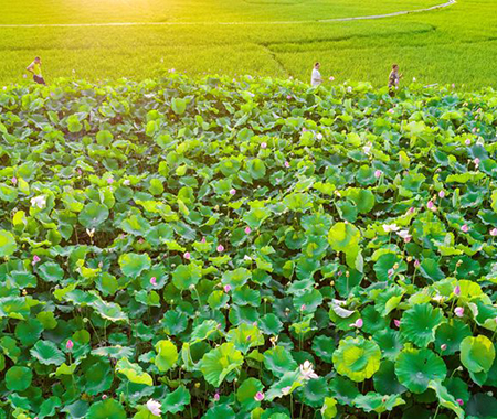 ����׳����������ɫ����������ƽ��������ĺ����һ���ɻ��������ţ���������ǰ���򿨡��������������� ��