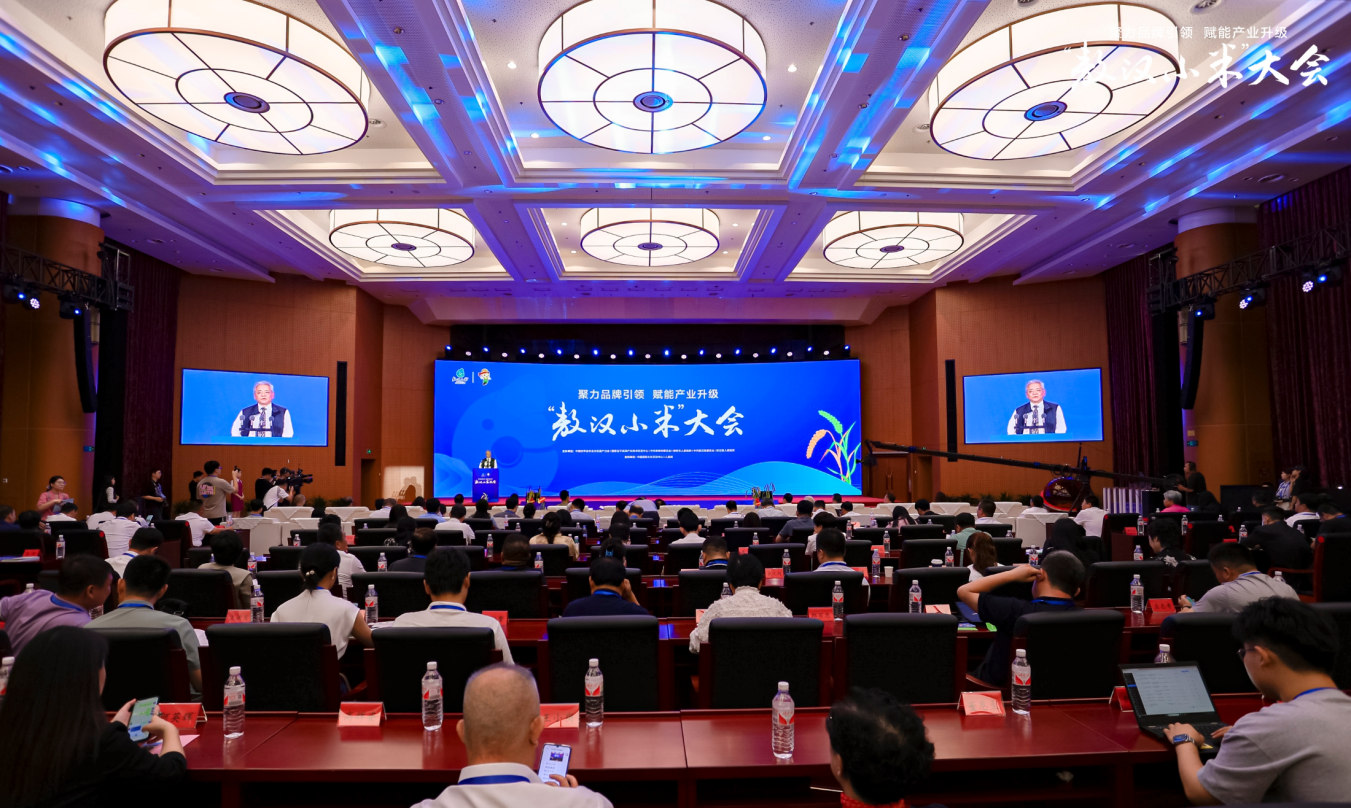 ������С�ס�����ֳ���