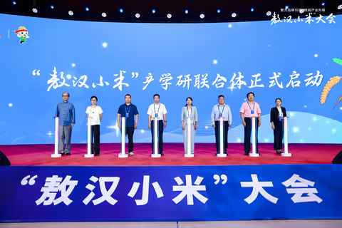 ������С�ס���ѧ����������ʽ������