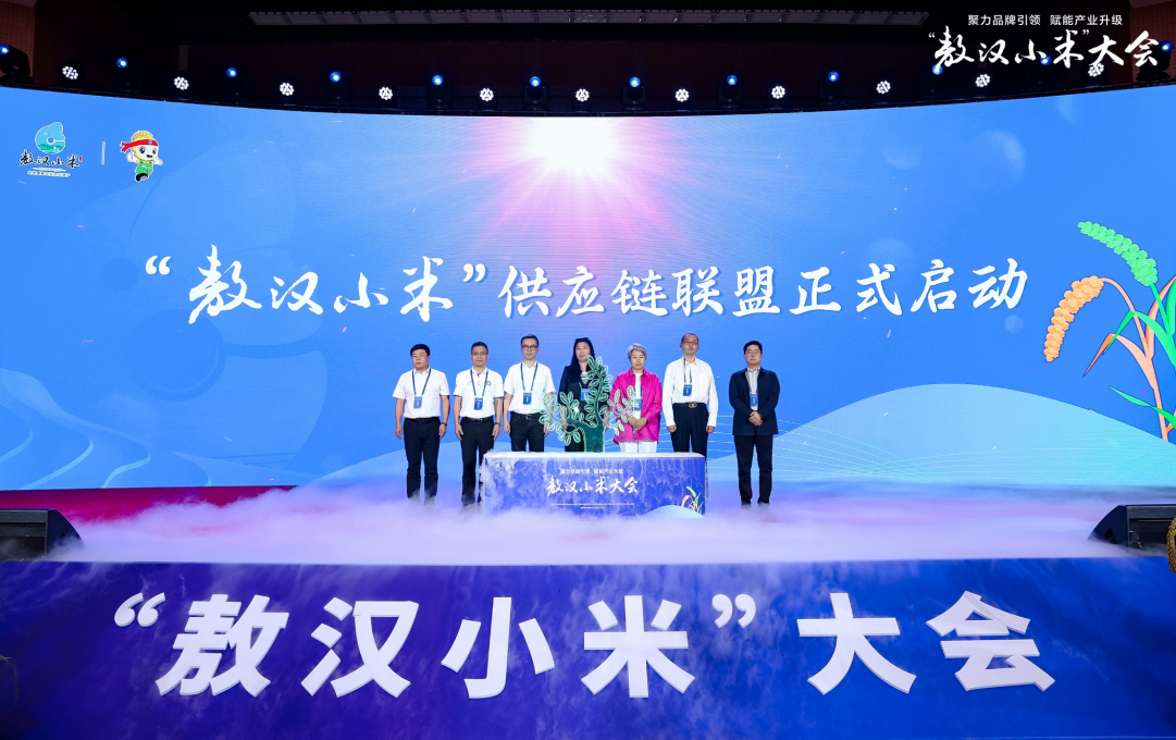 ������С�ס���Ӧ��������ʽ������