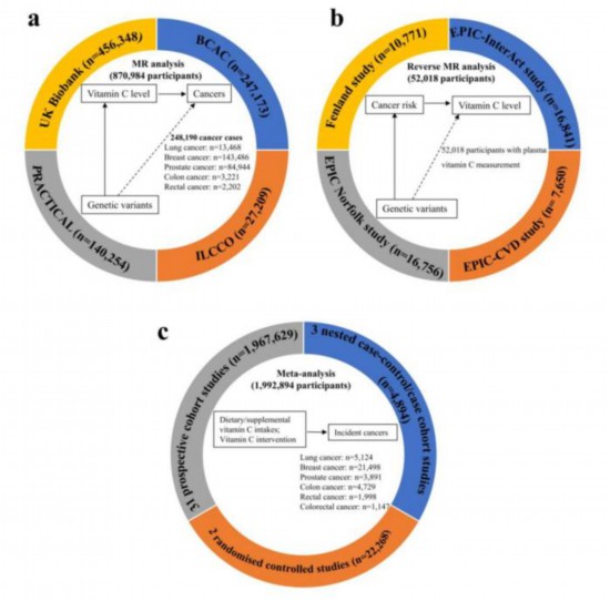 ����ά����C�ܿ�����������ѧ�Ŷӣ�û����ȷ�������